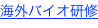 shapeimage_2_link_1